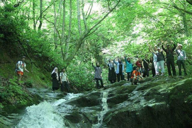 Sıcaktan Bunaldıysanız Yürüyüş Yapın