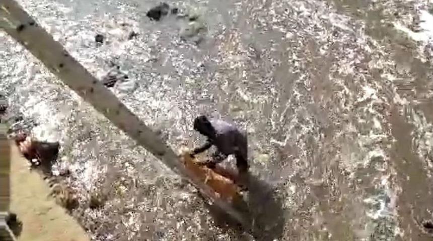 Dereye D&uuml;şen Sokak K&ouml;peğini Kurtarmak İ&ccedil;in Kıyafetleriyle Suya Atladı