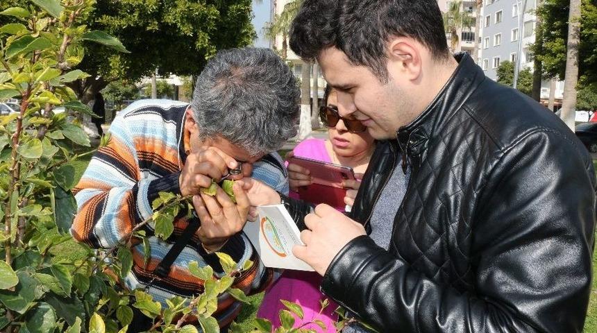 Mersin B&uuml;y&uuml;kşehir Belediyesi&rsquo;nden Biyolojik M&uuml;cadele