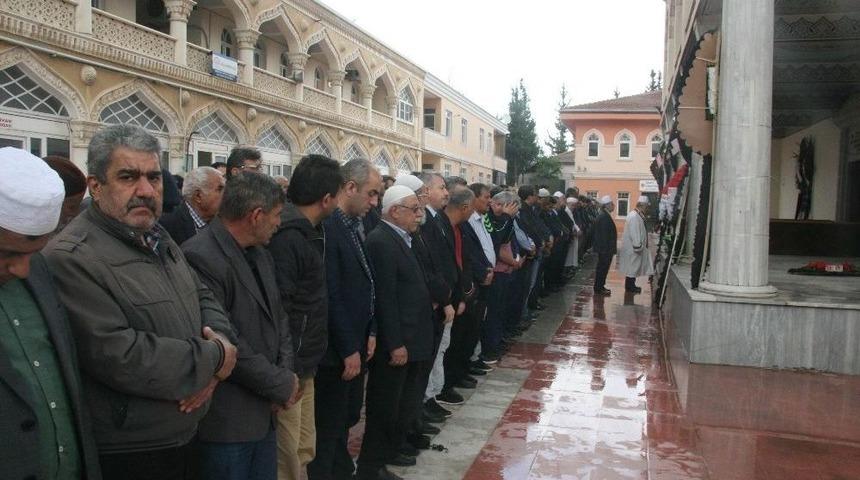 Gazeteci Yazar Yakut Yakamoz Hayatını Kaybetti