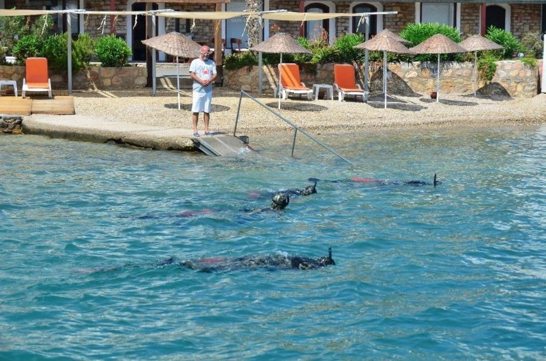 Bodrum Koylarında Deniz Dibi Temizliği S&uuml;r&uuml;yor