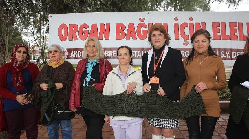 B&ouml;brek Hastalarından Afrin&rsquo;e Atkı Ve Bere