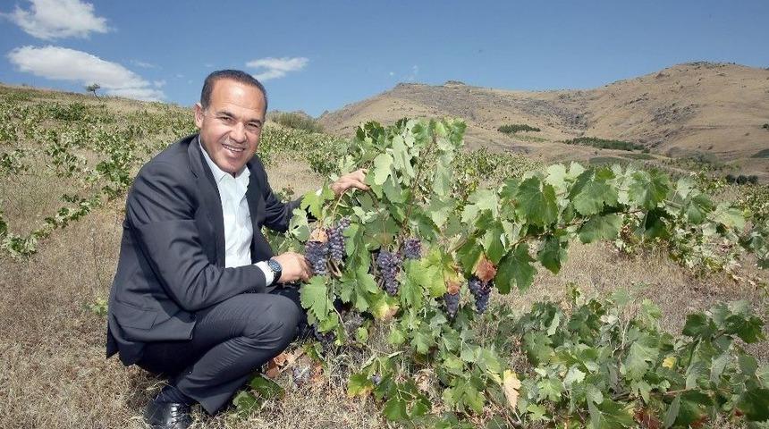Saimbeyli Ve Pozantı Yeniden &Uuml;z&uuml;m Diyarı Oluyor