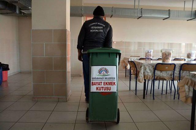 Doğubayazıt&rsquo;ta Bayat Ekmekler Sokak Hayvanlarına Veriliyor 1