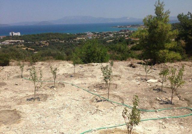 Ünlü Tatil Merkezinde Hazine Arazisi İşgaline Tepki