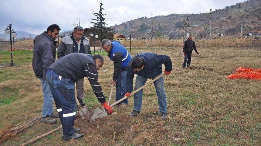 Doğa Parkı Ağa&ccedil;landırılıyor