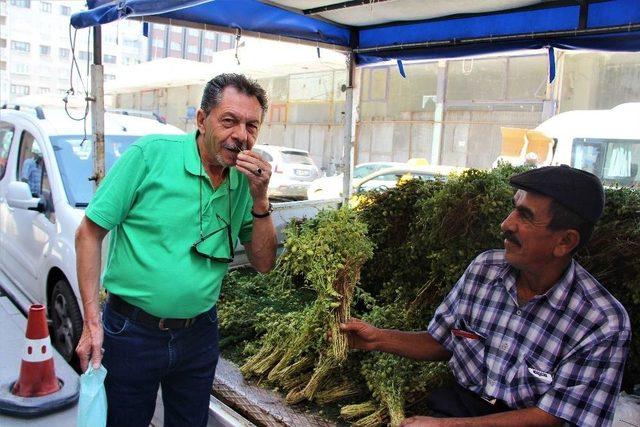 Bağı 2 Liradan Satılan Yeşil Nohuta Talep Yoğun