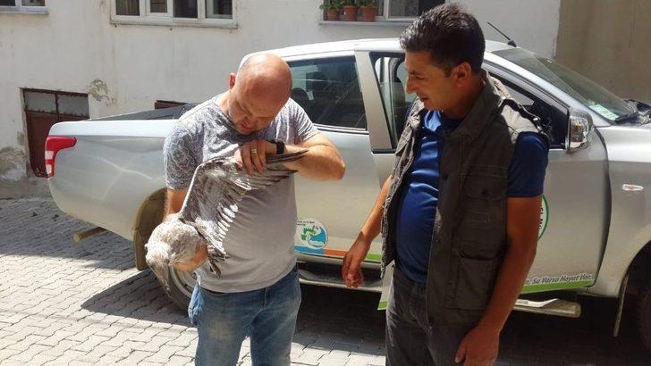 (özel) Kedi Ve Köpekler Parçalayacaktı, Mahalleli Kurtardı G2