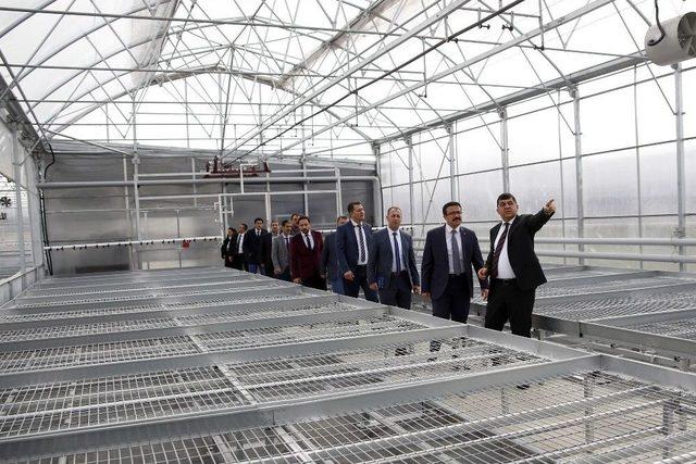 Fadıloğlu Ak Parti Teşkilatıyla Projeleri Gezdi 1