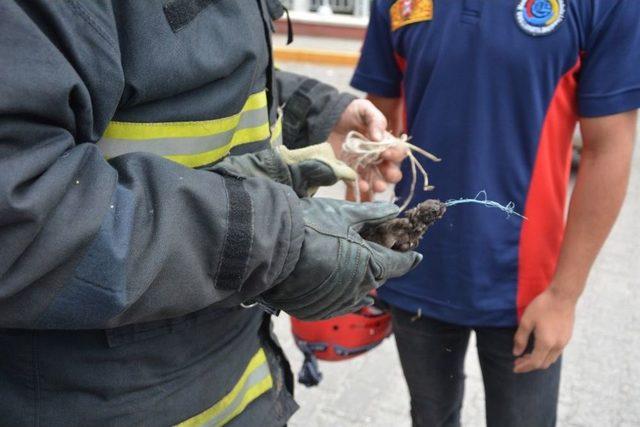 Kırlangı&ccedil; İ&ccedil;in Seferber Olan İtfaiye Ekipleri Olay Yerinden &Uuml;zg&uuml;n Ayrıldı 2