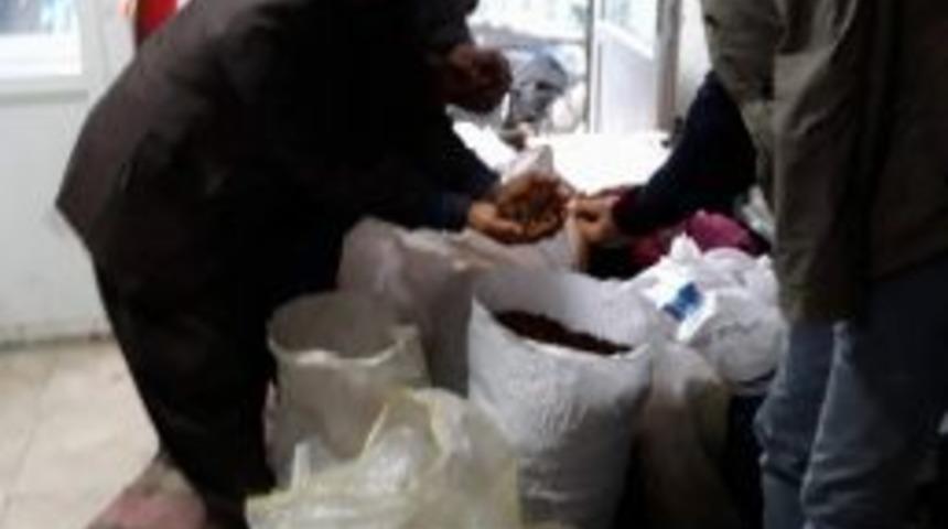 Kahramanmaraş’tan Mehmetçiğe Badem Ve Ceviz