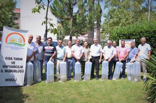 Denizli’de Göl Ve Göletlere 125 Bin Yavru Sazan Balığı Bırakıldı