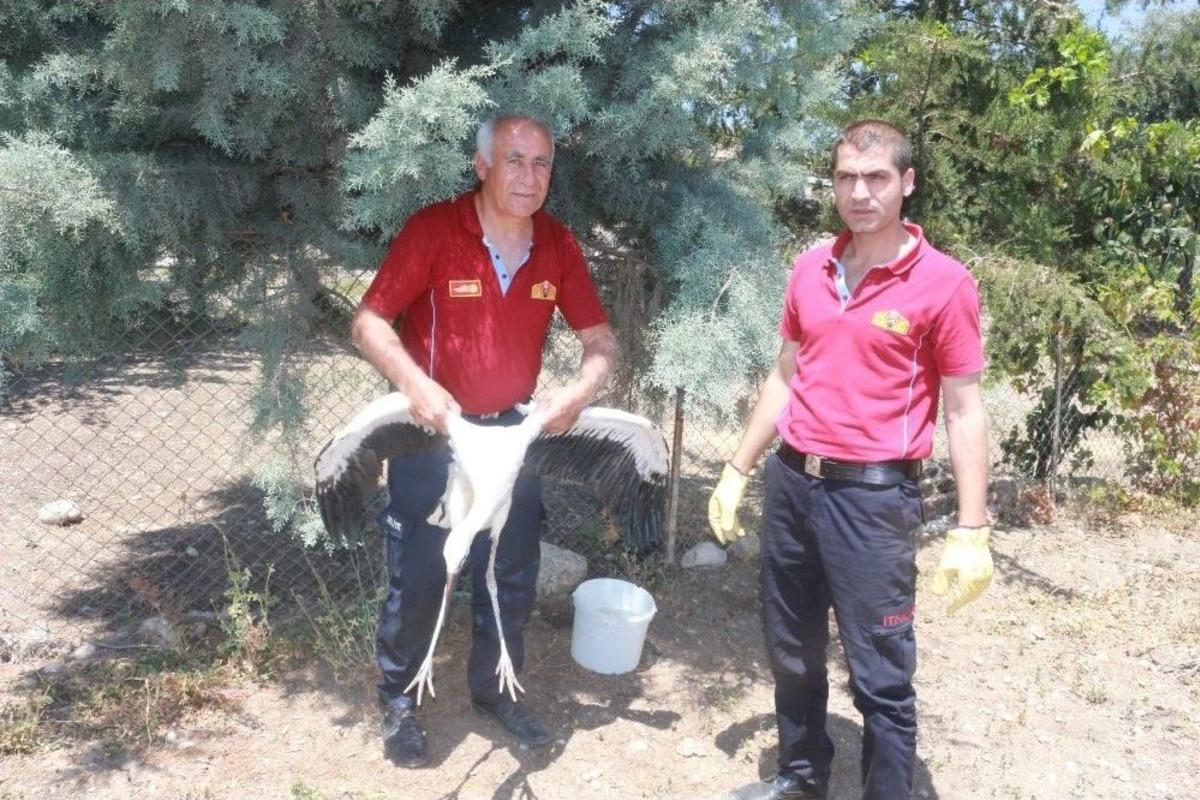 İtfaiye Bu Kez Leylek İ&ccedil;in Seferber Oldu