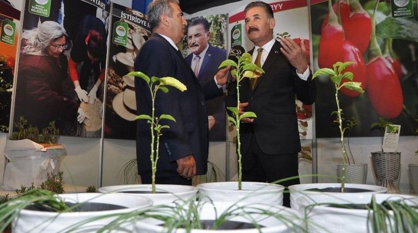 Tarım Fuarı&rsquo;nda Toroslar&rsquo;ın Standına Yoğun İlgi