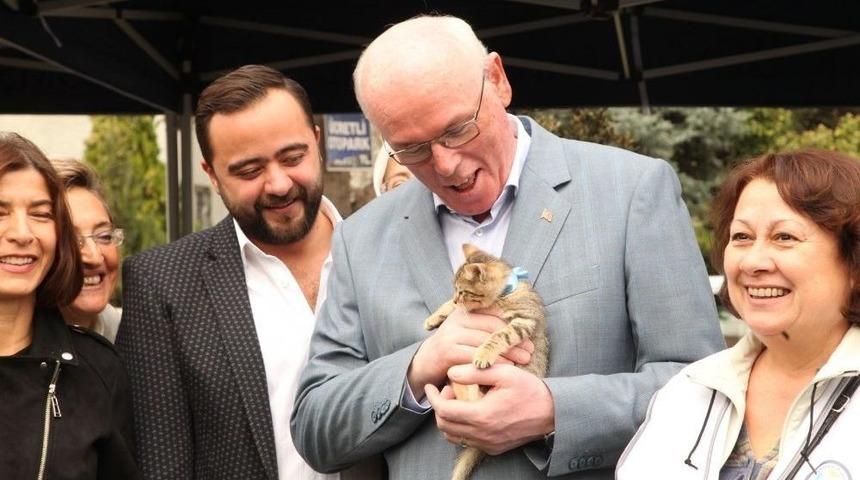 Kazım Kurt&rsquo;tan Hayvana Şiddete Tepki