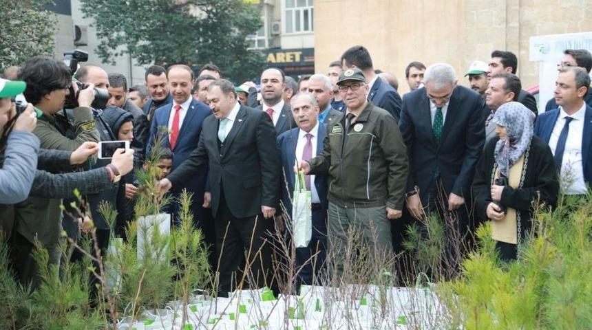 Bakanlar Şanlıurfa&rsquo;da Vatandaşlara Fidan Dağıttı
