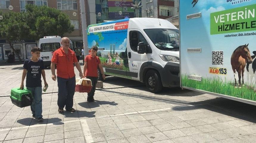 Şiddet Olaylarına Dikkat &Ccedil;ekmek İ&ccedil;in Sokak Hayvanlarını Tedavi Ediyorlar