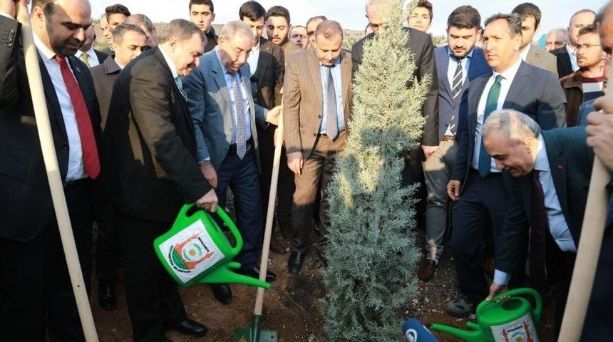 Bakanlar Şanlıurfa&rsquo;da Fidan Dikti