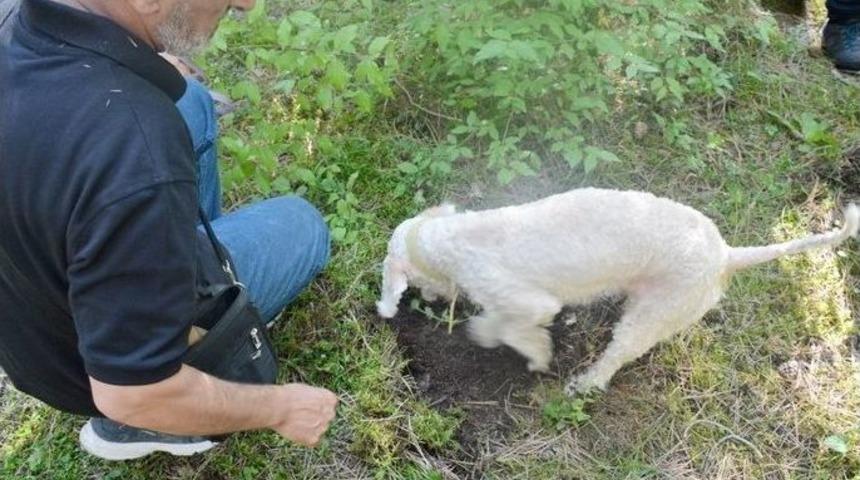 Bolu&rsquo;da Tr&uuml;f Avcılığı Ve Yetiştiriciliği Eğitimi Verildi