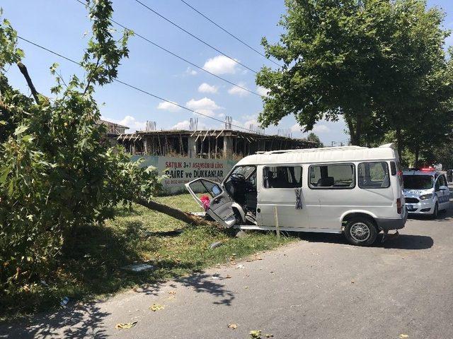 Minibüs Yol Kenarındaki Ağaca Çarptı: 4 Yaralı