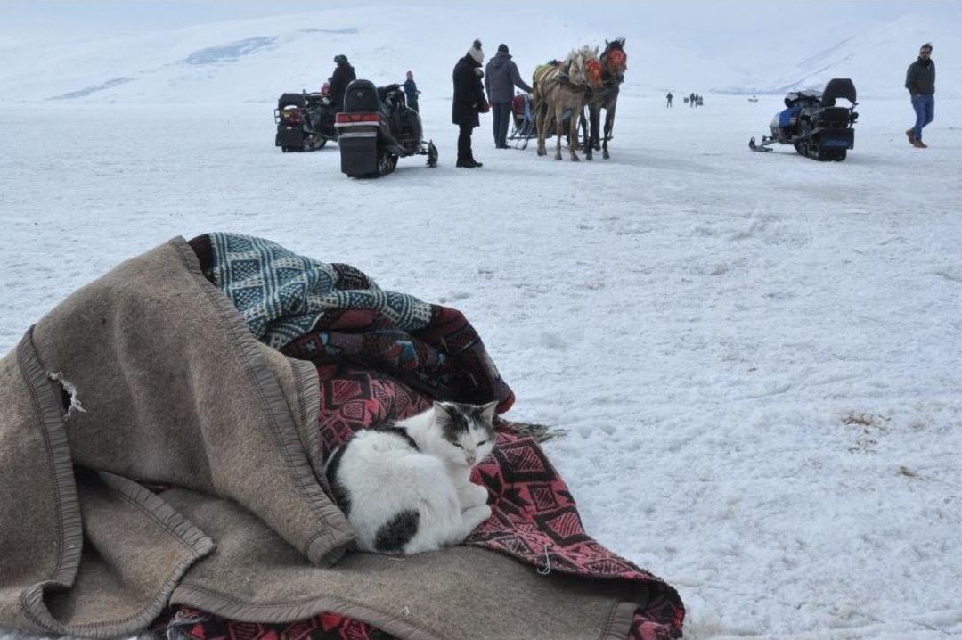 &Ccedil;ıldır G&ouml;l&uuml;&rsquo;ne Yoğun İlgi