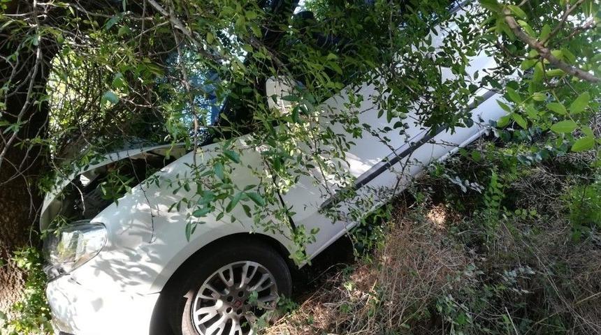 Kontrol&uuml;n&uuml; Kaybeden S&uuml;r&uuml;c&uuml; Ağaca &Ccedil;arptı