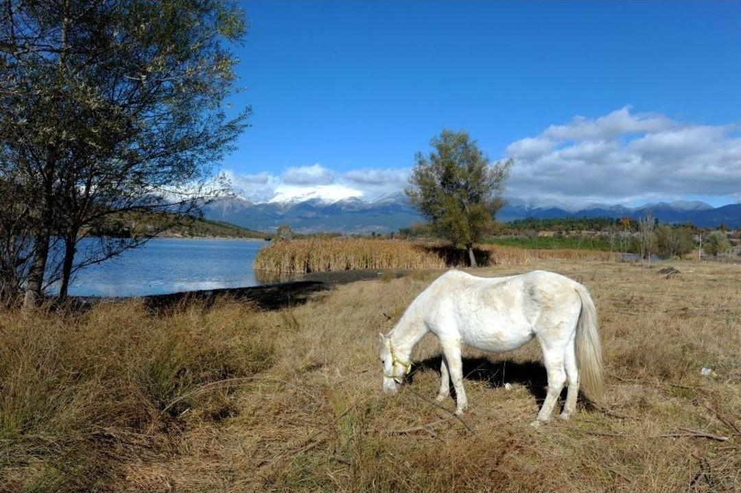 G&ouml;k&ouml;z G&ouml;leti B&uuml;y&uuml;l&uuml;yor
