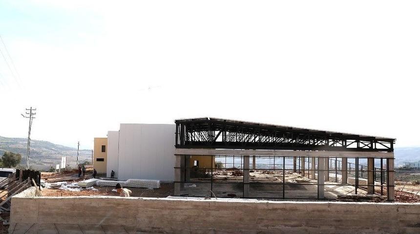 B&uuml;y&uuml;kşehir&rsquo;in Zeytin İşleme Tesisi Mart Ayı Sonunda A&ccedil;ılıyor