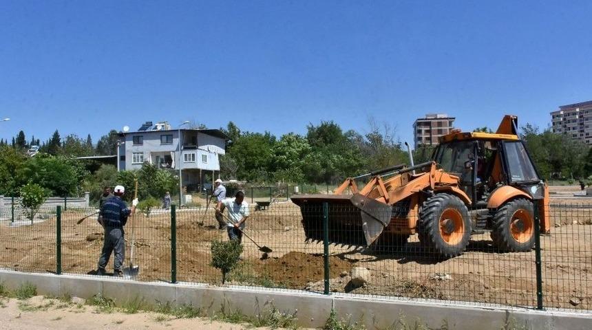 Nazilli&rsquo;ye Meyve Bitkileri Parkı Kazandırılıyor