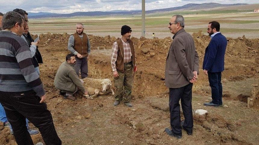 Aslanapa&rsquo;da Hayvan Pazarının İnşaatına Başlandı