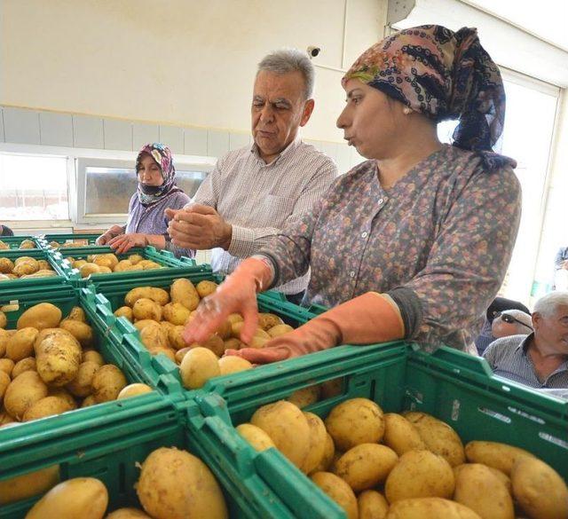 Tarımda Yüksek Enflasyona İzmir Freni