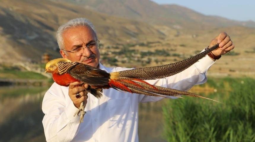 Ekşisu Mesire Alanına Kanatlı Hayvan Barınağı Oluşturuldu