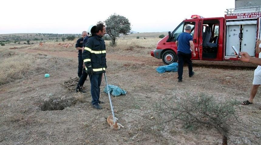 Kuyuya D&uuml;şen Kedi İtfaiye Ekiplerince Kurtarıldı