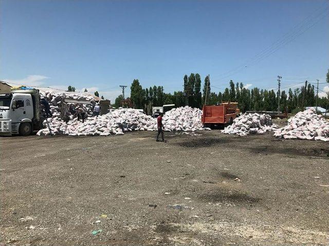 Malazgirt’e Kömür Dağıtımı Yapılıyor 2