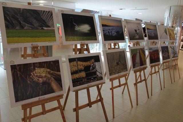 Düzce’de Tarım Ve İnsan Konulu Fotoğraf Sergisinin Açılışı Gerçekleştirildi 1