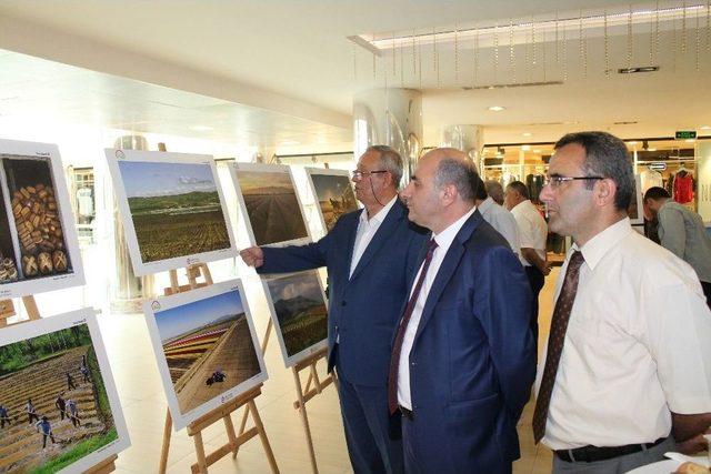 Düzce’de Tarım Ve İnsan Konulu Fotoğraf Sergisinin Açılışı Gerçekleştirildi 2