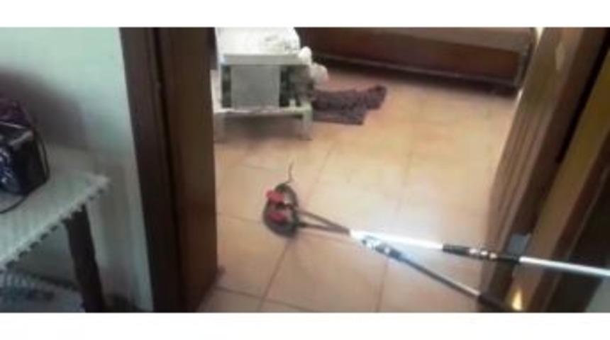 Bağ Evine Giren Yılanı İtfaiye &Ccedil;ıkardı