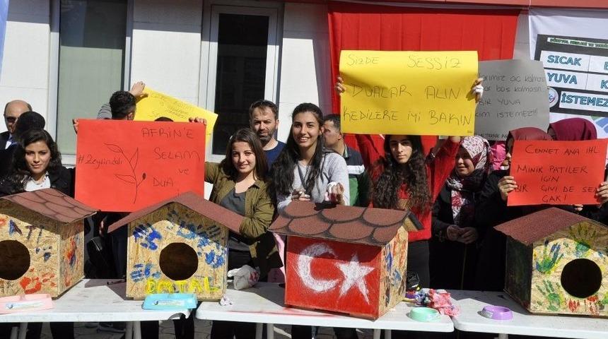 &Ouml;ğrencilerden Sokak Kedileri İ&ccedil;in &ldquo;pati Kondu&rdquo;