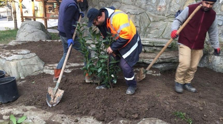 Dilovası&rsquo;nda Park Ve Bah&ccedil;eler Bahara Hazırlanıyor
