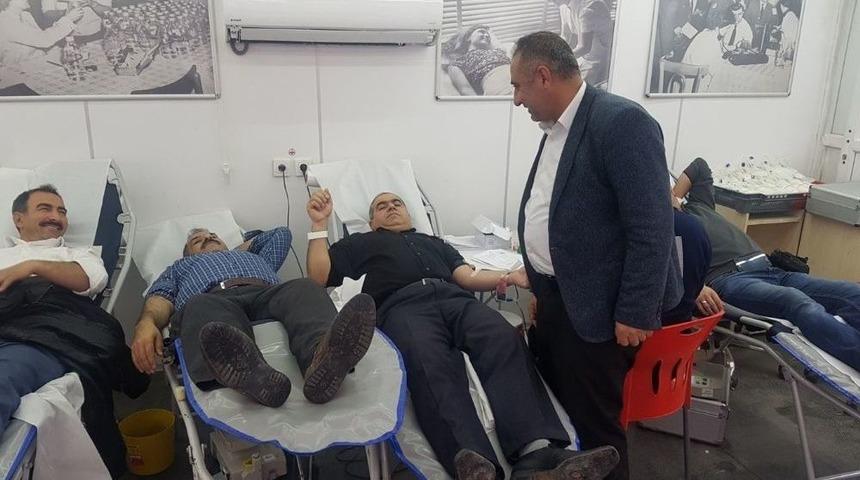 Silopililerden Kan Bağışına Yoğun İlgi