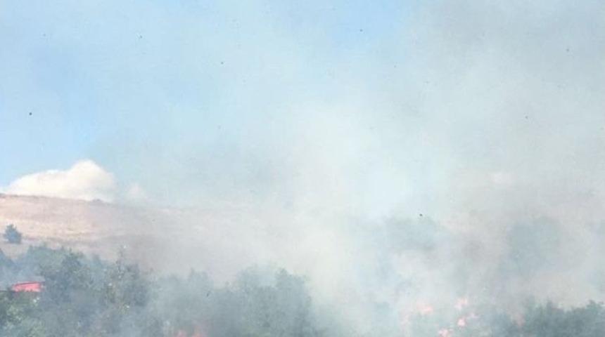 Bilecik&rsquo;te 5 D&ouml;n&uuml;m Makilik Alan Yandı