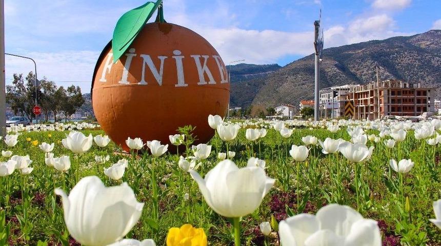 Finike Sokakları &Ccedil;i&ccedil;ek Bah&ccedil;esine D&ouml;nd&uuml;