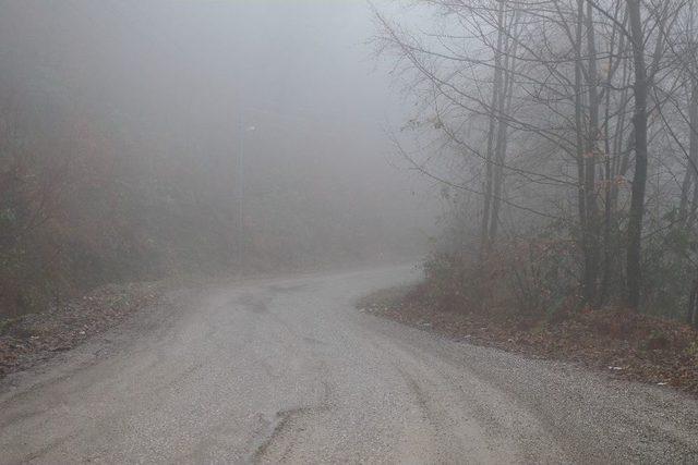 Doktor Ormanlık Alanda Darp Edilmiş Halde Bulundu 1