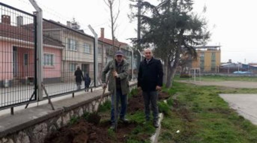 Veliler Okul Bahçesini Ağaçlandırdı