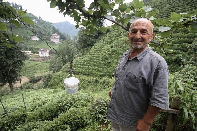 Rize’de Çaydan Sonra Suya Da Teleferikle Çözüm