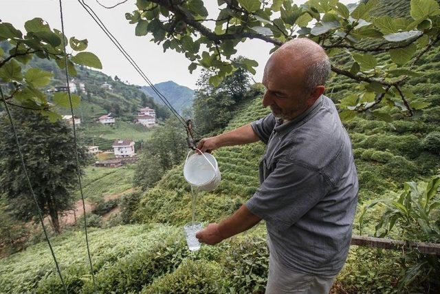 Rize’de Çaydan Sonra Suya Da Teleferikle Çözüm