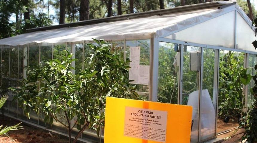 Akıllı Sera İle 8 Katlık Su Tasarrufu