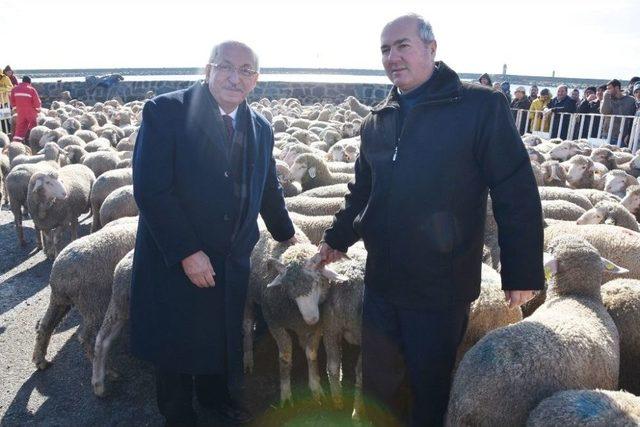 Tekirdağ, Tarım Ve Hayvancılıkta Örnek Olmaya Devam Ediyor