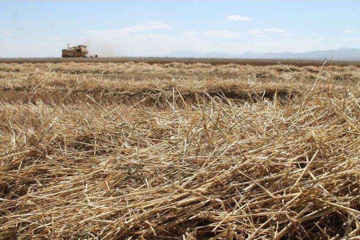 Hububat Hasadında Servet Kayb G3