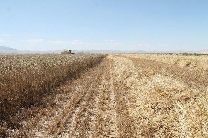 Hububat Hasadında Servet Kayb G5